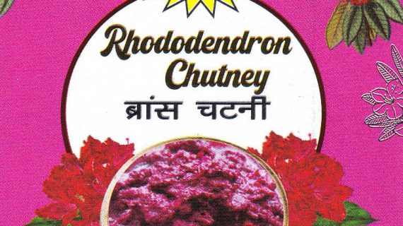 Rhododendron Chutney  ( Buransh Chutney )